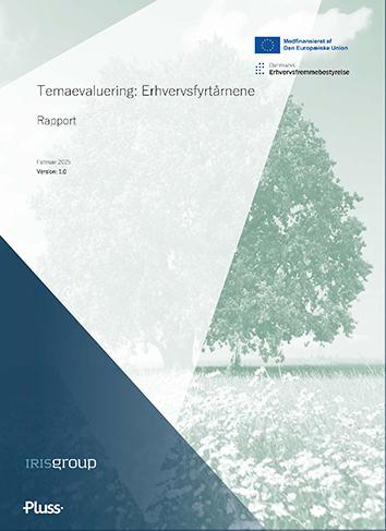 Temaevaluering: Erhvervsfyrtårnene