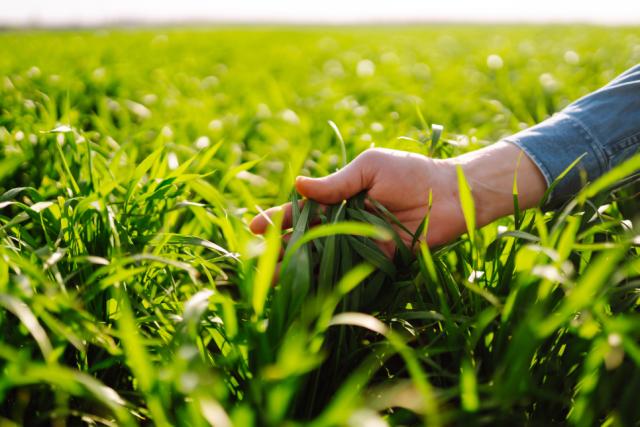 Bioraffinering Fårup Biogas
