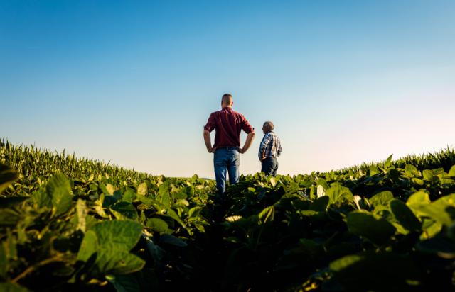 Innovation i fokus for en grønnere og mere resilient fødevaresektor