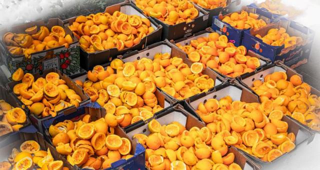 Side Streams from Food Processing