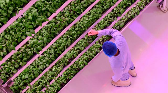 Food & Bio Cluster Denmark får 22,5 mio. kroner til at drive innovation i de kommende to år