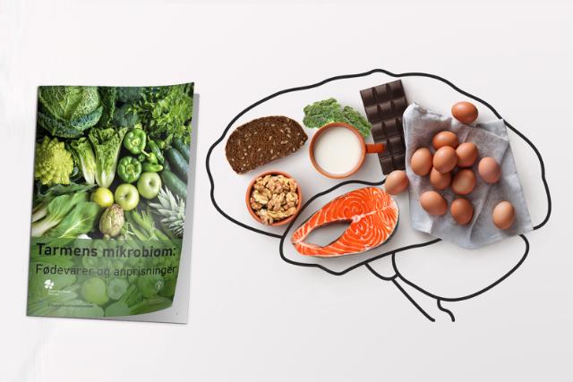 Fødevarer og mikrobiomet: Muligheder og opmærksomhedspunkter for fødevareproducenter
