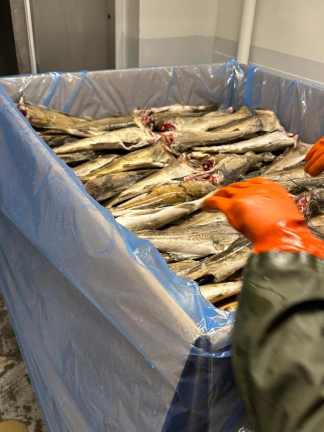 Nye veje for fiskeindustriens sidestrømme