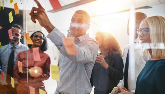 Vil du være med til at udvikle, drive og sikre kvalitet i vores projektportefølje?