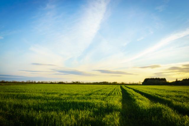 AgriFoodTure investerer 41 mio. kr. i grønne innovationsprojekter
