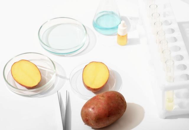 Konkurrenter går sammen om kartoffelprotein