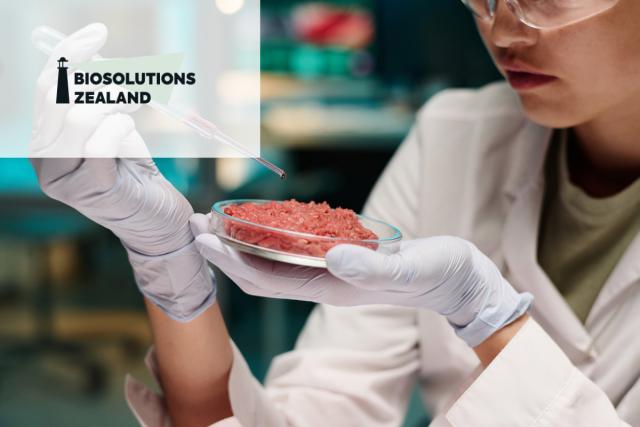 Upscaled production and formulation of cultivated meat 