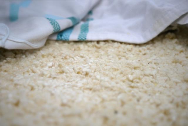 Flavour potential of Aspergillus in upcycled fermentation