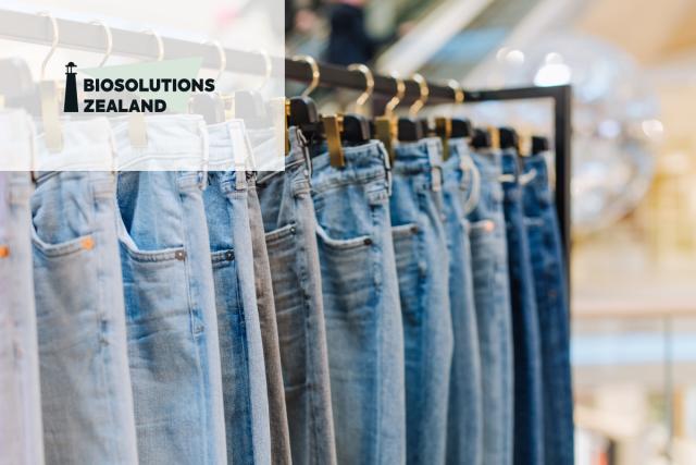 BlueOxy: An oxidative enzyme for blue denim dye production