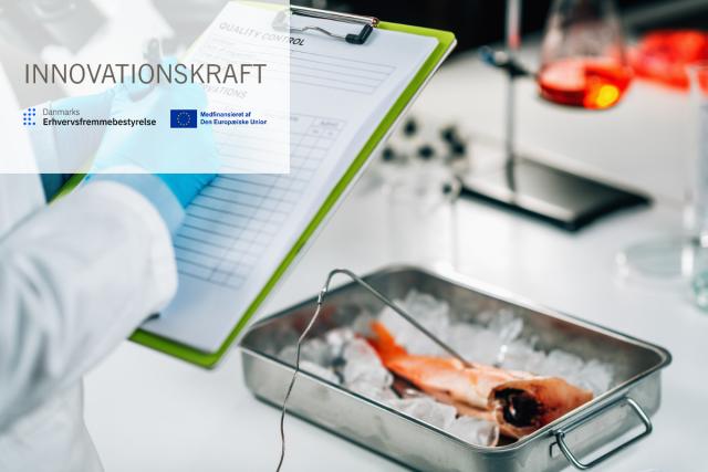 Udvikling af fiskesensor