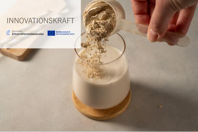 Sød-Umami Planteprotein Prototypering