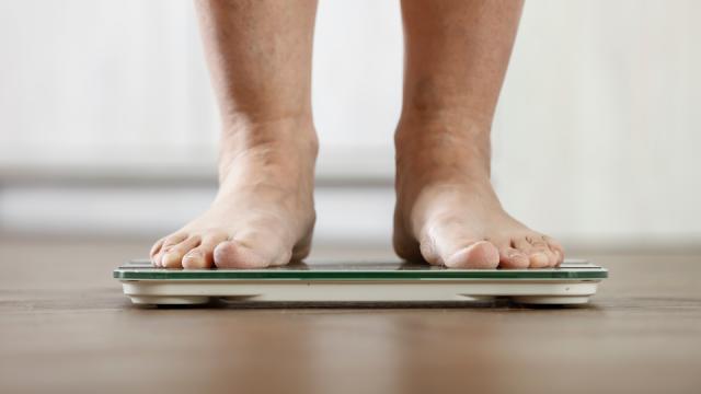 Protein for healthier diets