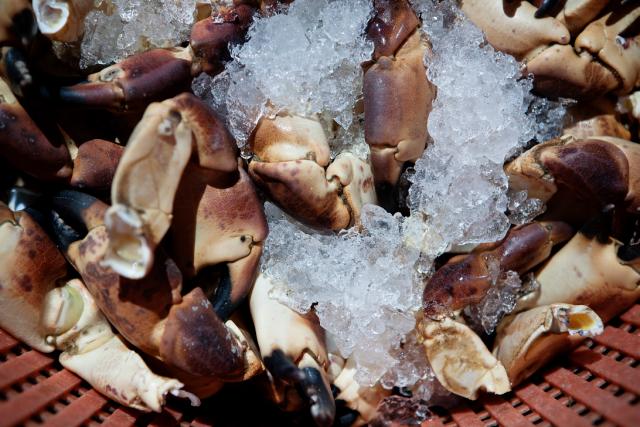UPFORCRABS