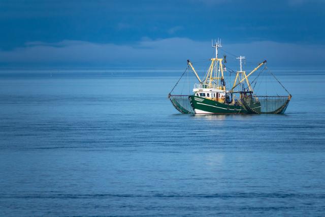 Den Europæiske Hav-, Fiskeri- og Akvakulturfond (EHFAF)