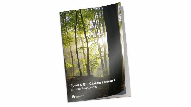 Impact Framework sets direction for the green transition  