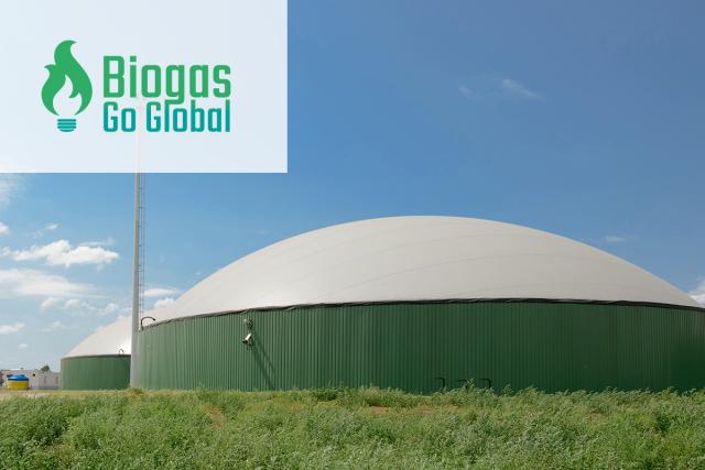 Biogas Go Global - Sydafrika