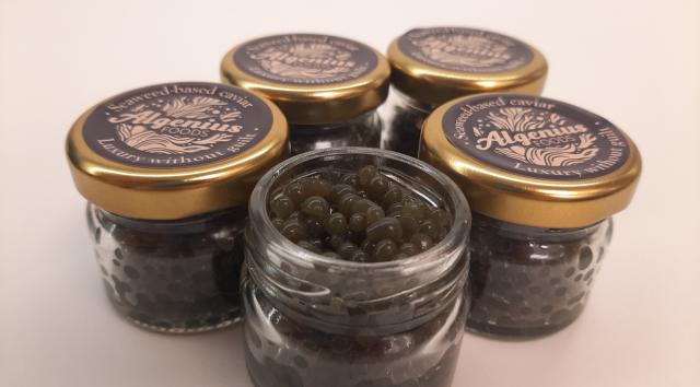 Udvikling af et plantebaseret alternativ til kaviar
