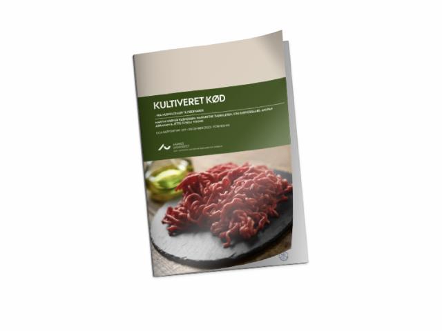 Kultiveret kød - fra muskelceller til fødevare